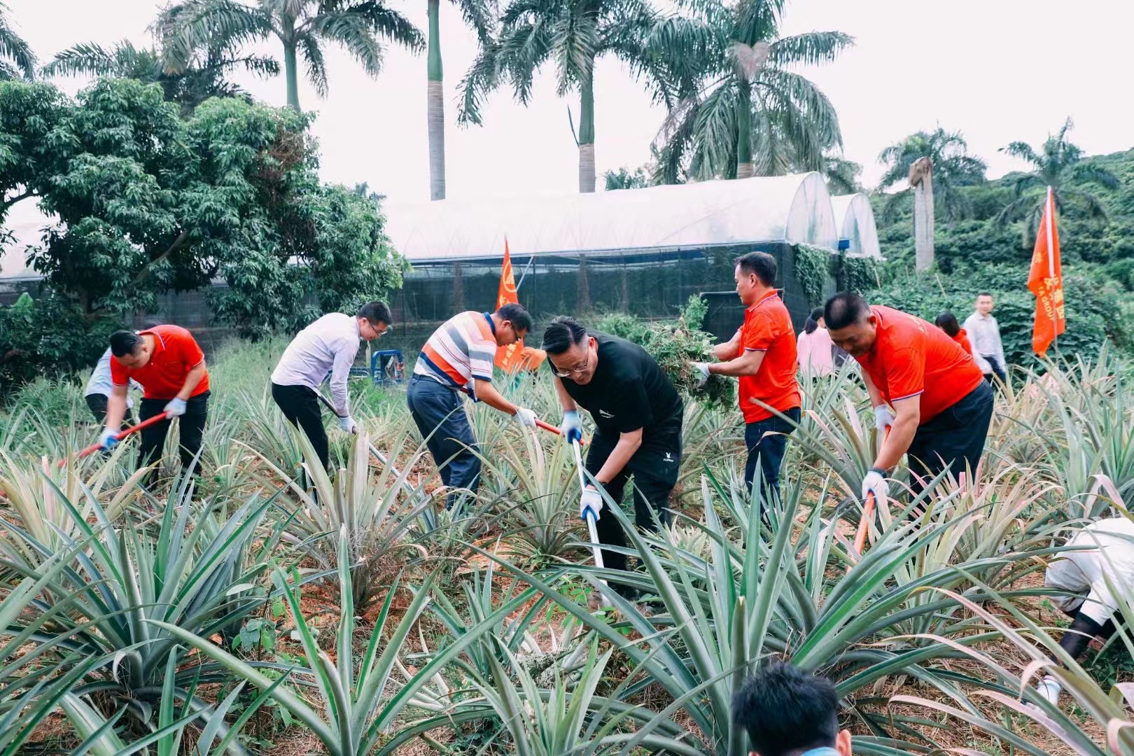 劳动光荣，锻炼体魄——永发集团组织中高层管理人员集体劳动
