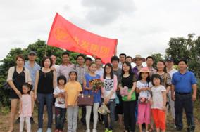 自助荔枝游